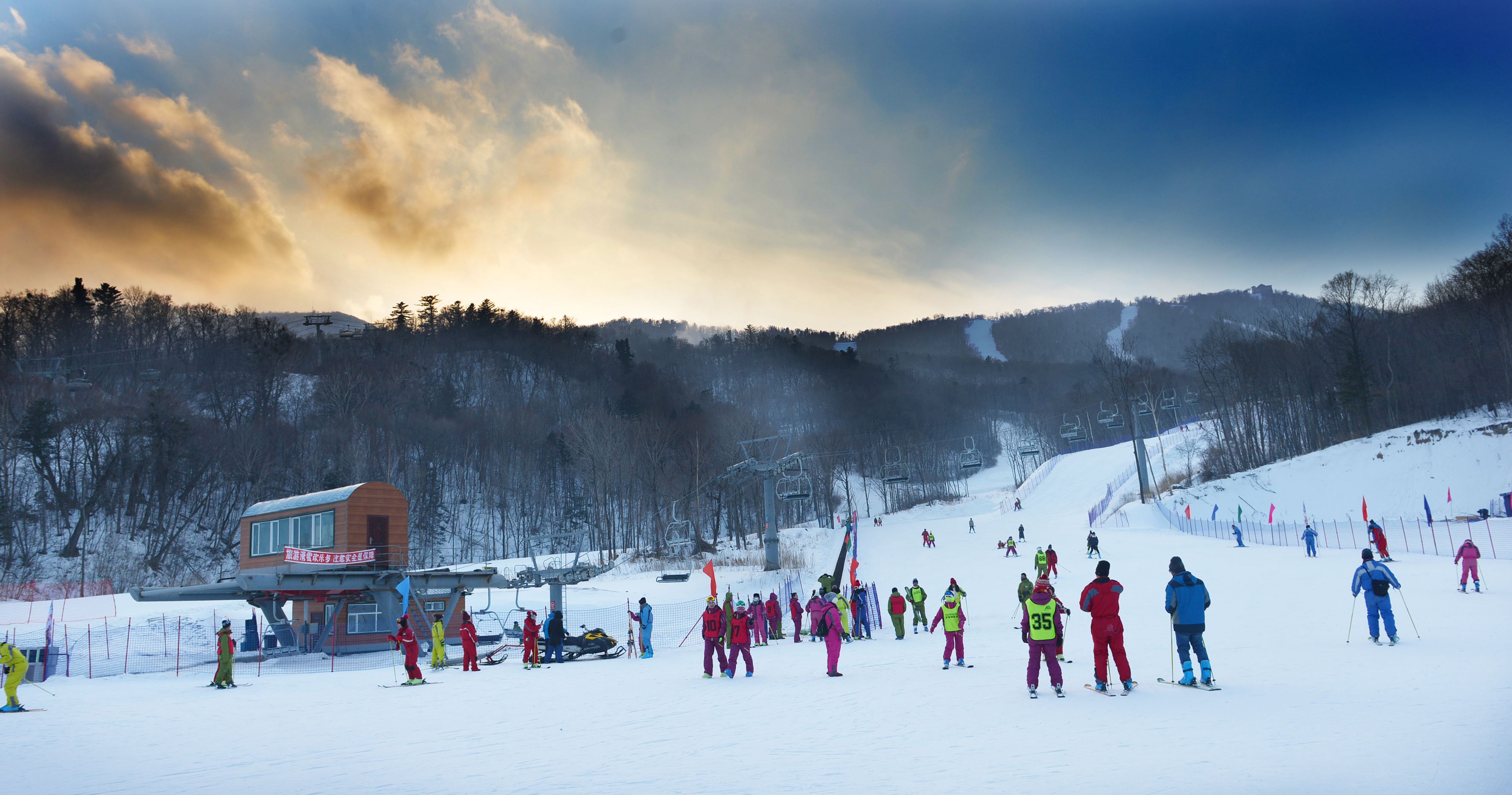 冬天,树,天空,森林,优美的冬季雪景桌面壁纸_高清风景壁纸_彼岸桌面