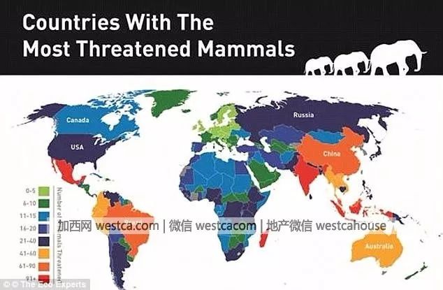 人口大灭绝_纵横古今话阅兵 闲谈中国古代的阅兵