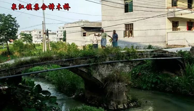 遂川县有多少人口_江西遂川县高坪镇桃洞村蹲点日记八 穷山里来了上海亲戚