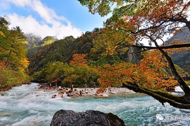 东秘村村人口_巩义市西村镇东村村