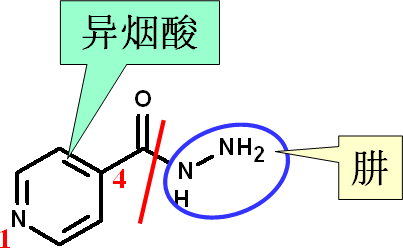 健康 正文 第二节 合成类抗结核药  (一)异烟肼(考点多) 1,结构特点