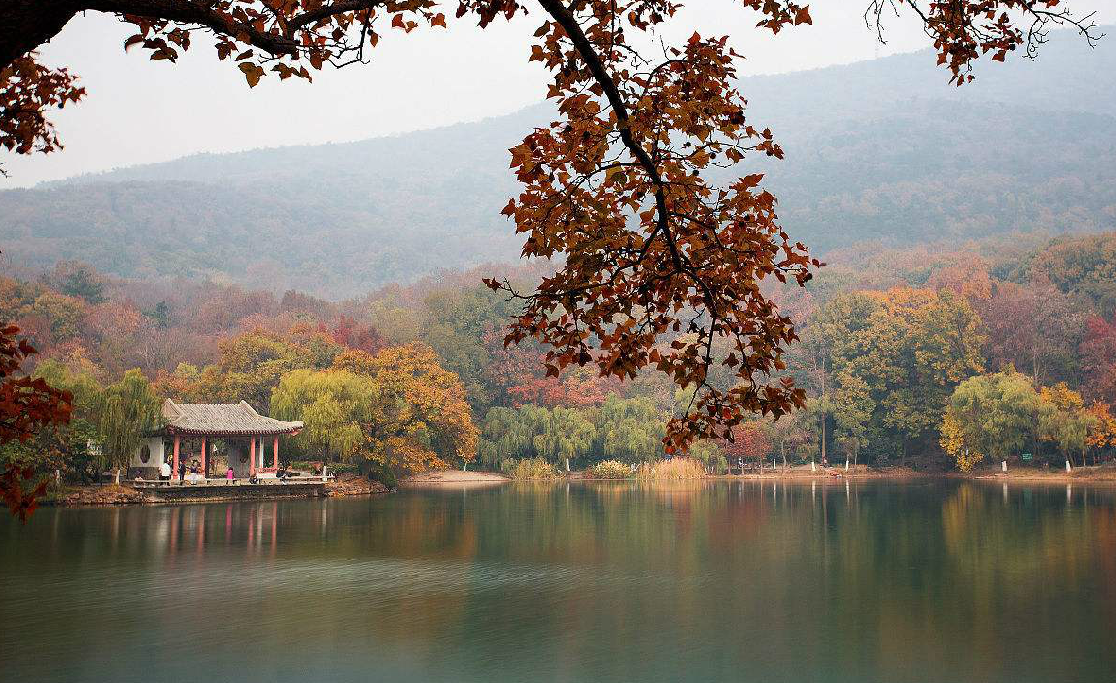 比赛时间:2017年11月26日9:00 比赛地点:江苏·南京·紫金山钟山风景