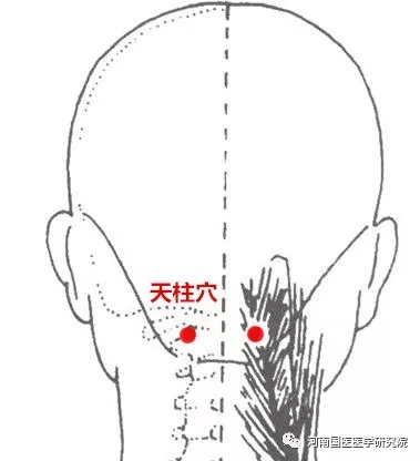 失眠头痛咽喉炎神经衰弱可以多按摩天柱穴试试