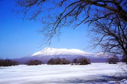 北海道的雪满足了我对冬天美景的所有幻想