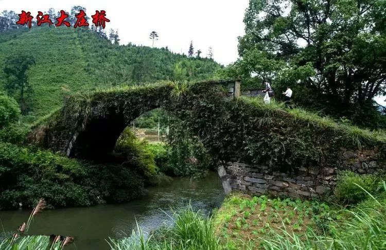 遂川有多少人口_遂川那些嫁到外地的姑娘,你后悔了吗(2)