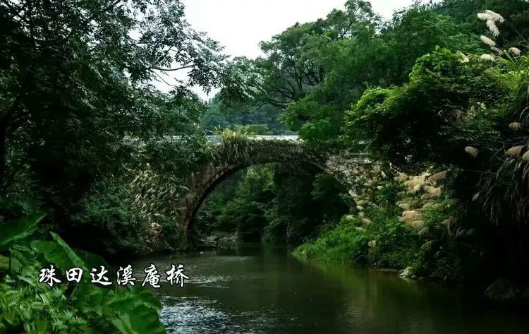 遂川县有多少人口_江西遂川县高坪镇桃洞村蹲点日记八 穷山里来了上海亲戚(2)