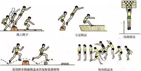 体育教学挂图和动作图解