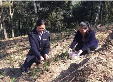 贵州省榕江忠诚镇有多少人口_榕江栽麻镇高硐村(3)