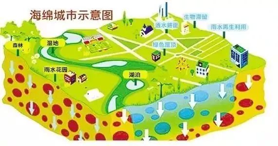 海绵城市