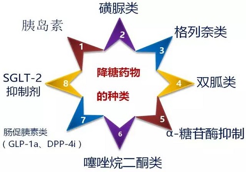 2,磺脲类:降糖机制:作用于胰岛 b细胞膜 atp敏感的钾通道,使钾离子