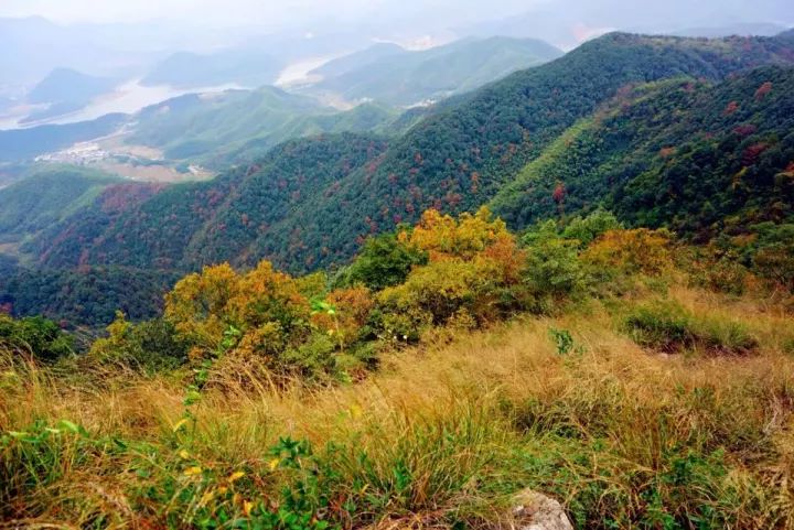 【绍兴·图说】秋色秦望山