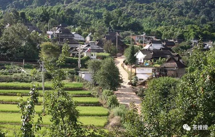 勐宋(景洪 茶山地理:位于景洪市大勐龙镇勐宋村,位于景洪市最南端