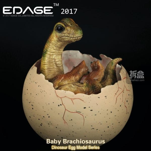 edage伊甸纪 腕龙宝宝 恐龙蛋 baby brachiosaurus