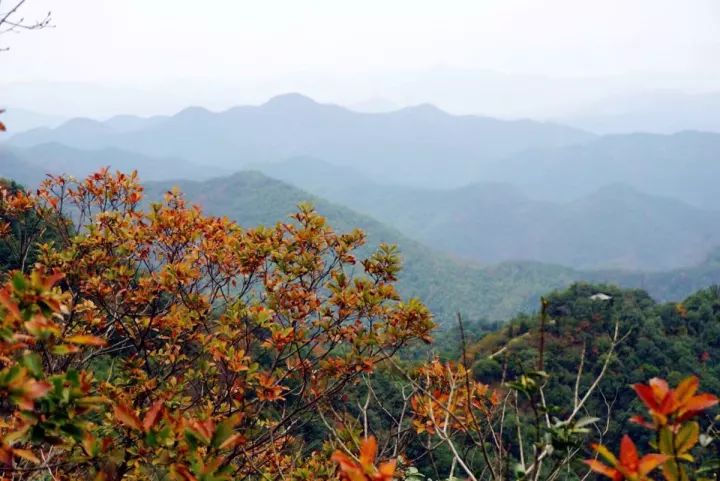 【绍兴·图说】秋色秦望山