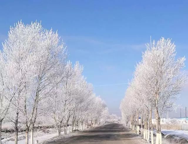 最美油城雪景壁纸拿走不谢