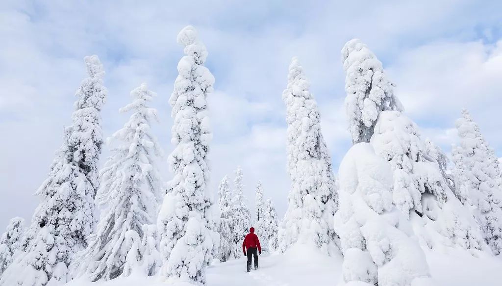 冰天雪地简谱_冰天雪地图片