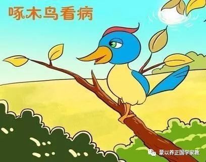 儿童睡前故事273期 | 啄木鸟看病