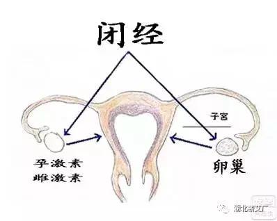 闭经的怎么办