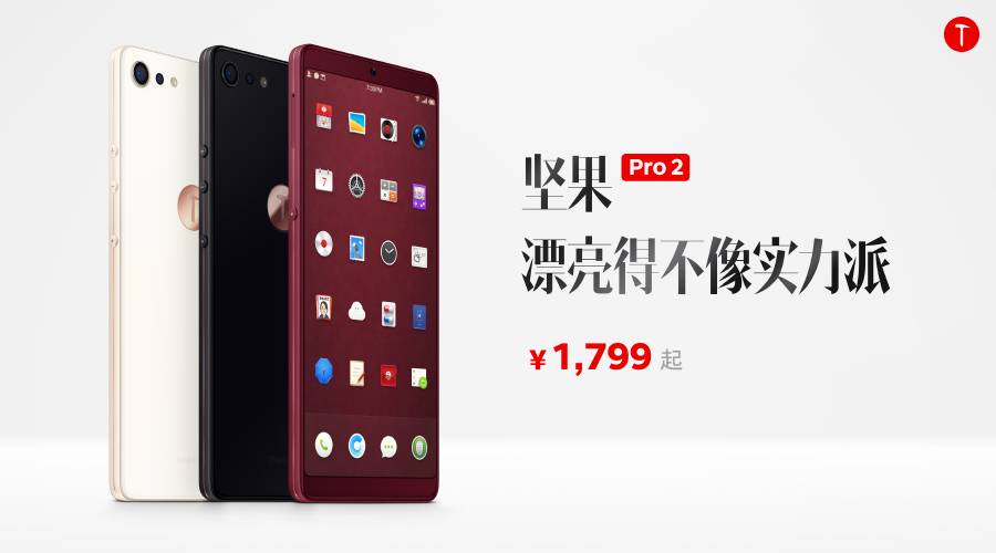 256GB 版坚果 Pro 2，京东商城正在发售中