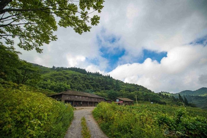 武隆景点很多 能说赶超仙女山唯有白马山景区