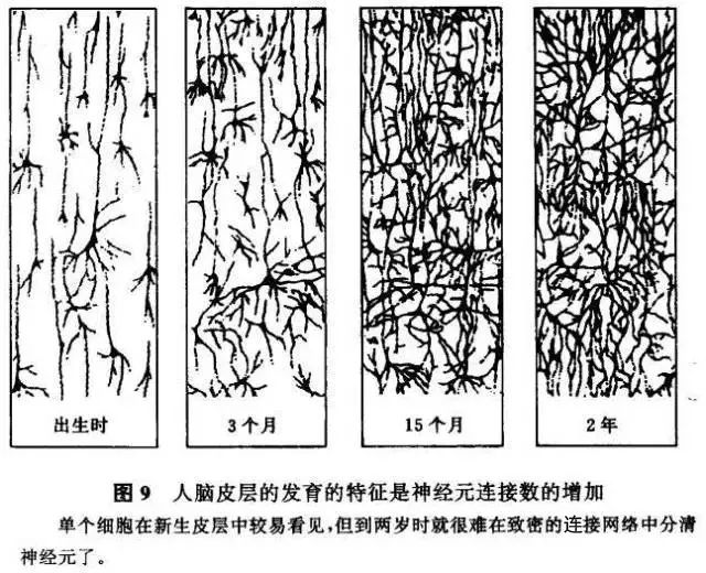 0-6岁人口_幼儿0到6岁成长过程图(2)