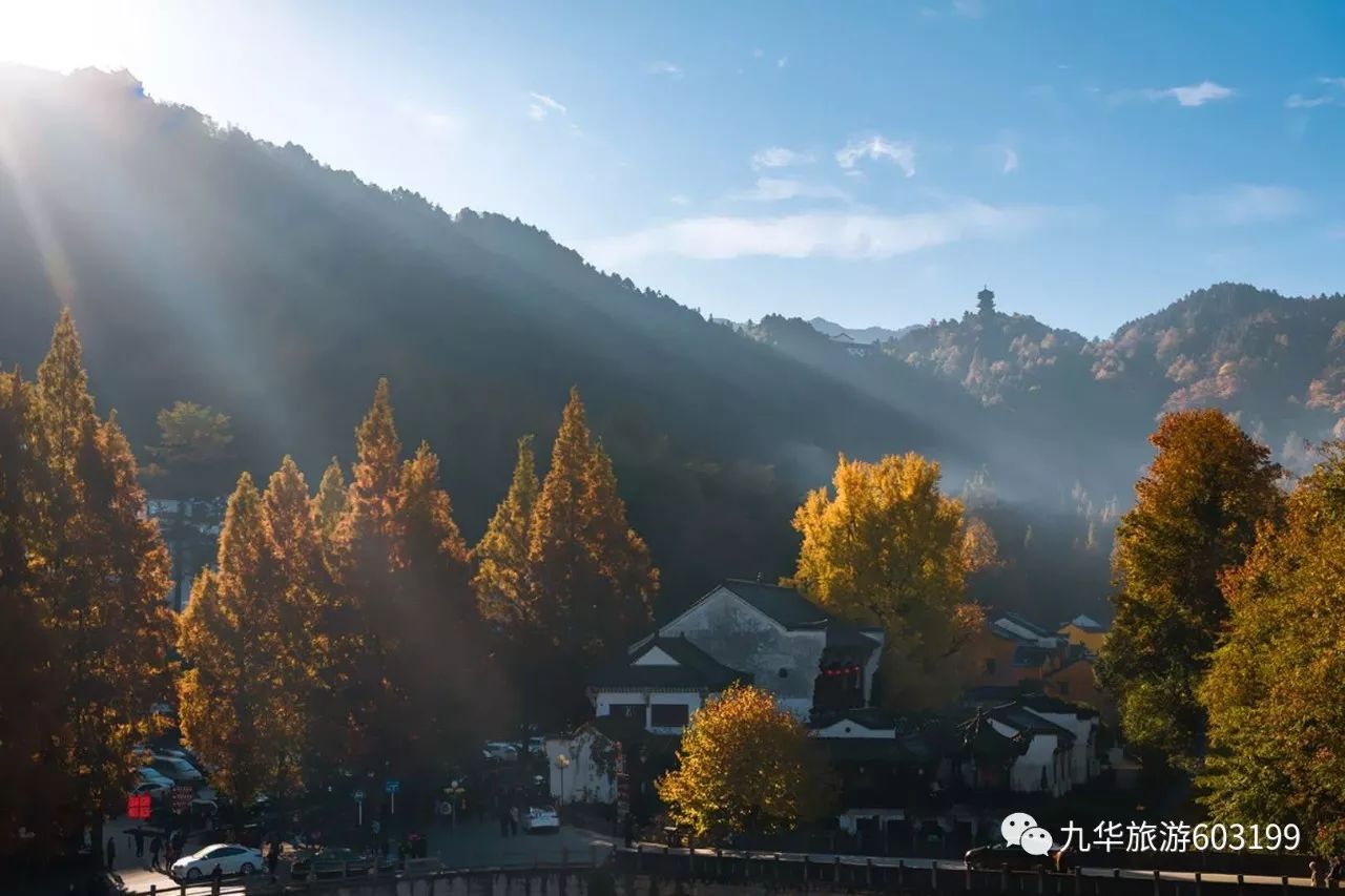 我更喜欢色彩斑斓的秋天,就像不久前去的九华山,那里秋意正浓