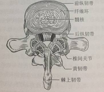 腰椎间盘突出会有什么表现呢?