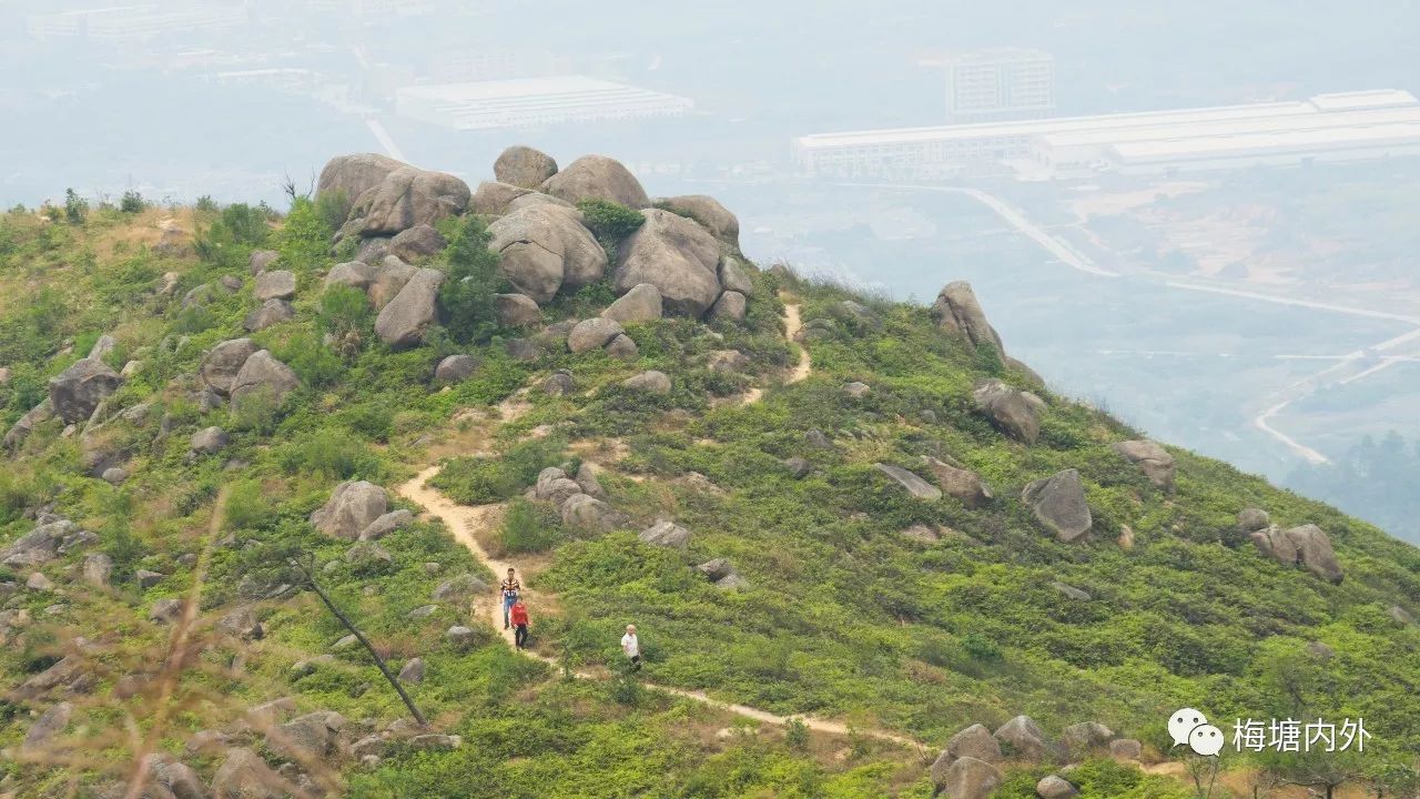 我们又翻过一个岭,终于坚持到了主峰下.铁山尖,很平,也很窄.