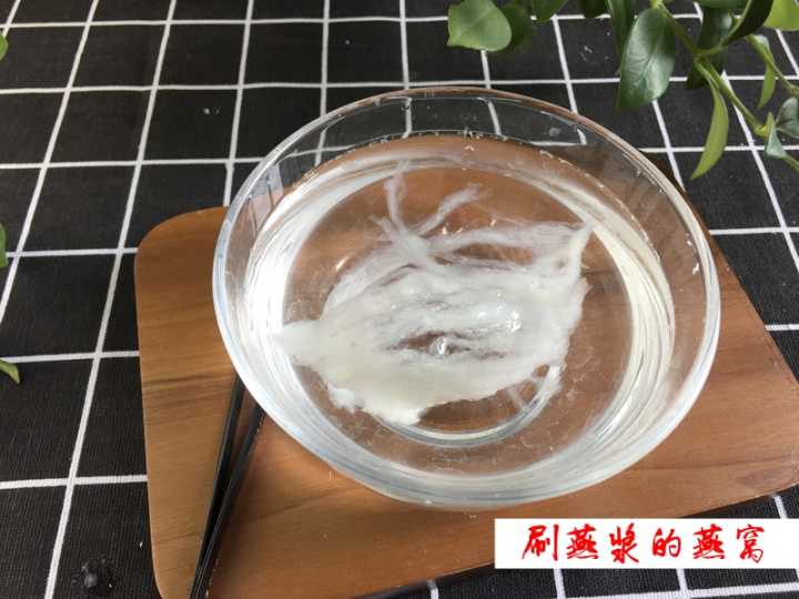 刷燕浆燕窝的泡发情况