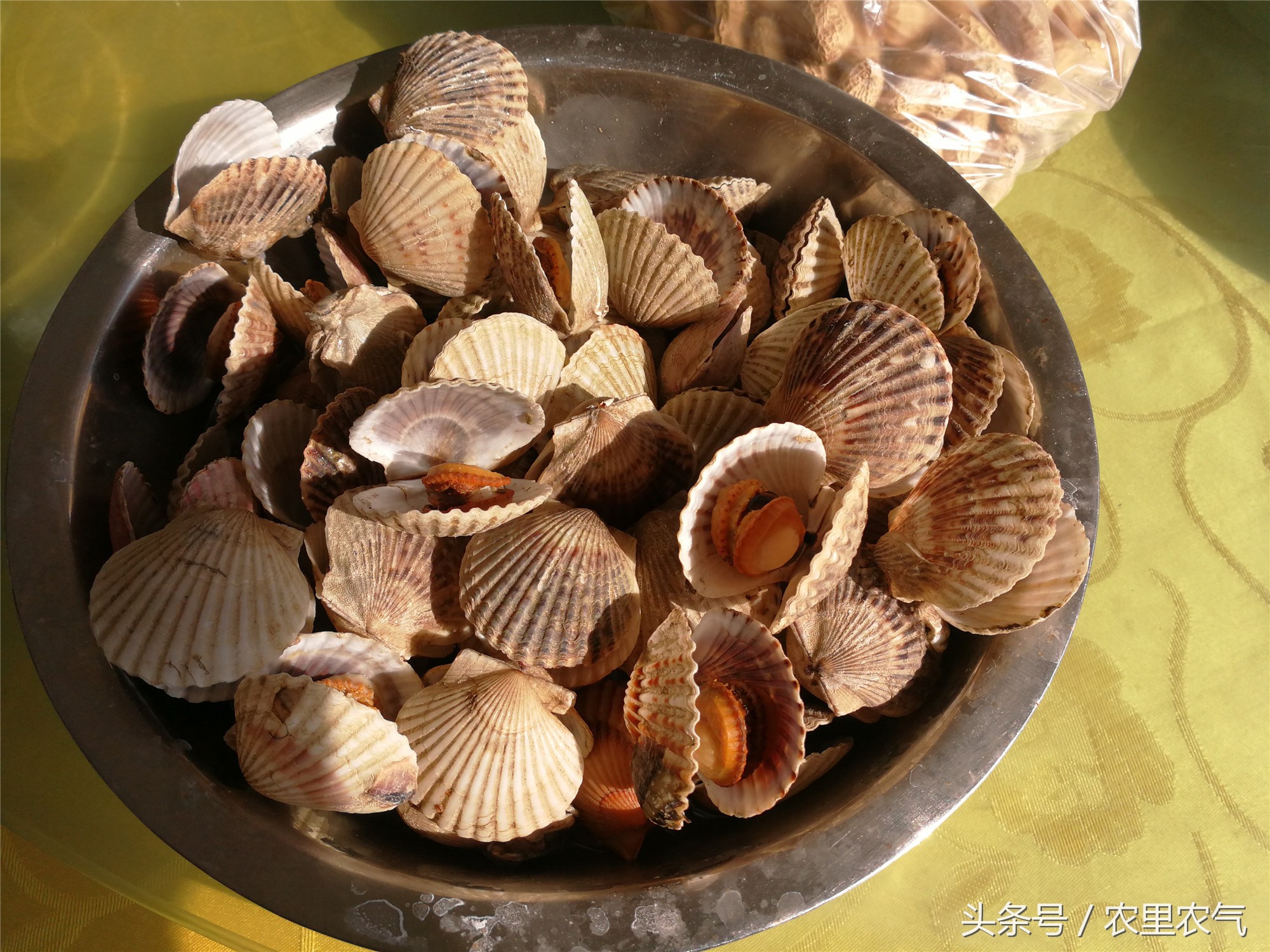所谓的海味,都是胶东半岛常见的小海鲜.