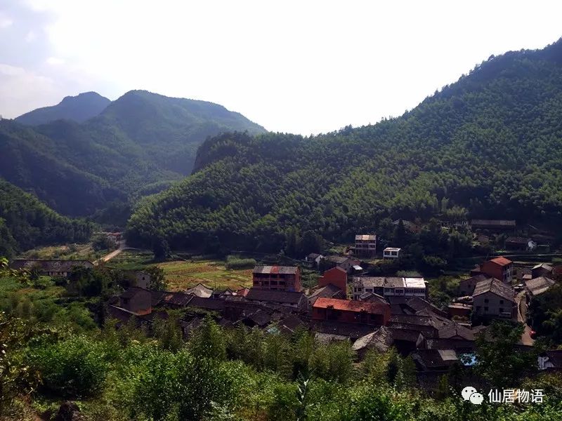 仙居古村落:岭根村