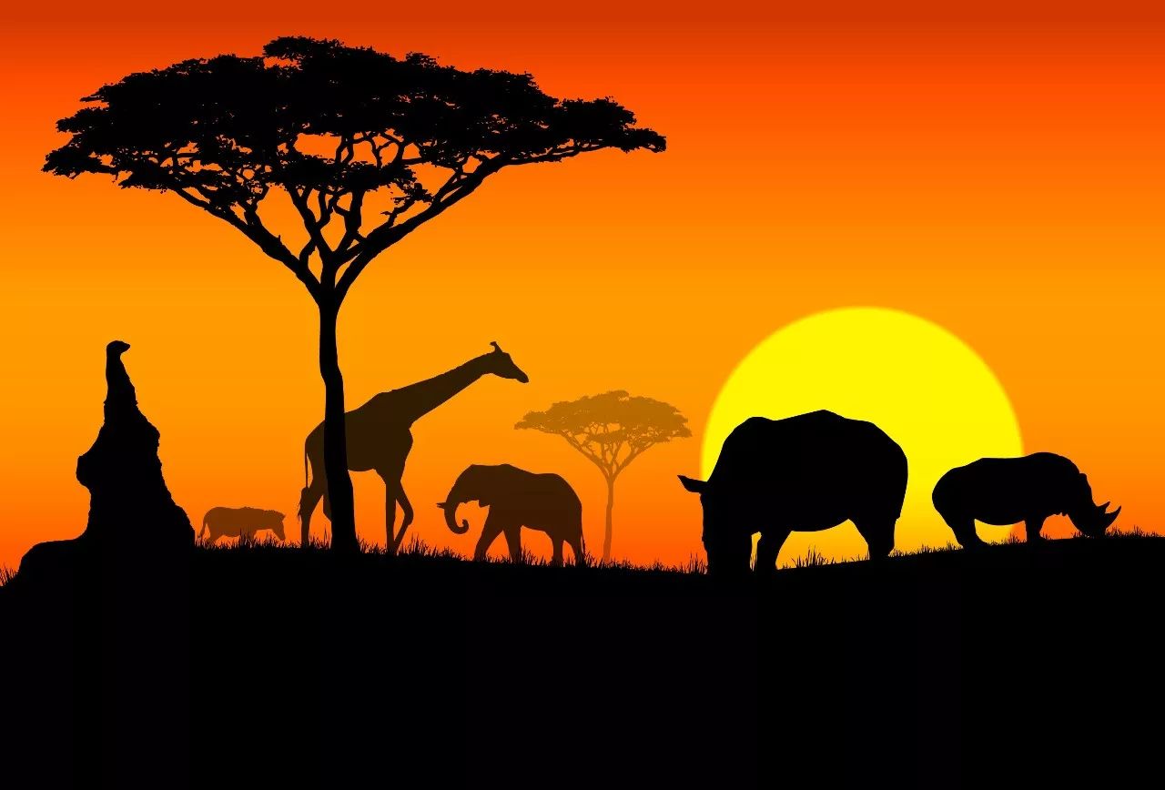 肯尼亚-狂野非洲行摄之旅