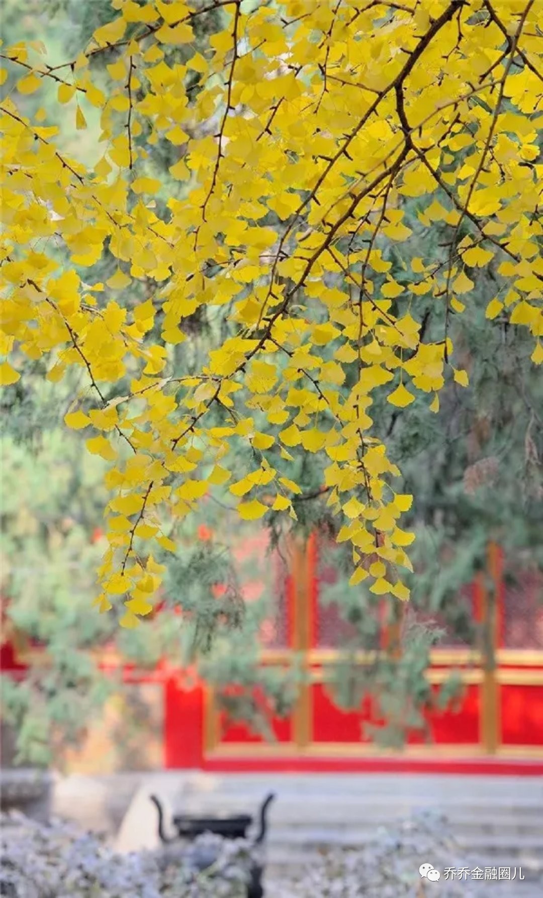 信用额度占经济资本总量_花呗额度图片