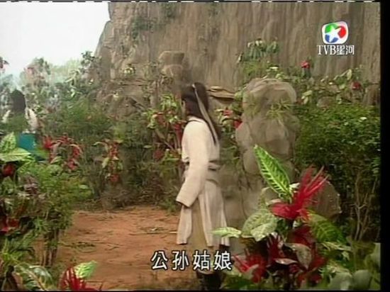 1995年《神雕侠侣》的"绝情谷"还是在棚内拍摄,布景简陋