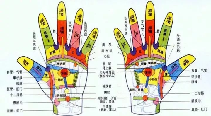 赶紧看看学习~ 视频来源:@一分钟谈健康 人的手部有很多反射区,不断