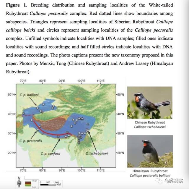 中国观鸟年报“中国鸟类名录” 5.0（2017）发布