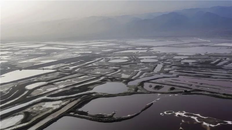 造句天高地阔