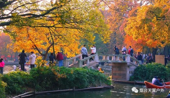 天翼旅行江南醉美赏红叶躺卧升级版11月17日全国最美红叶南京栖霞山