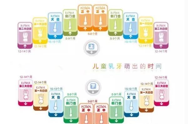 【昌图】使用正确的口腔姿势和吞咽方式,竟然可以改变容貌?