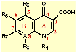 3位羧基和4位酮基是必需的药效团b.5位有烷基取代时活性增加a.