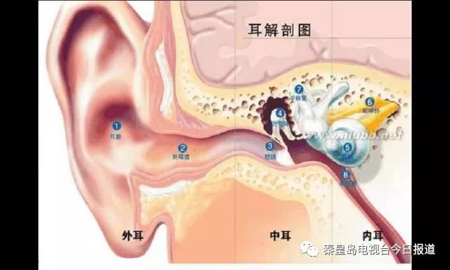 健康同行:外耳道炎的预防