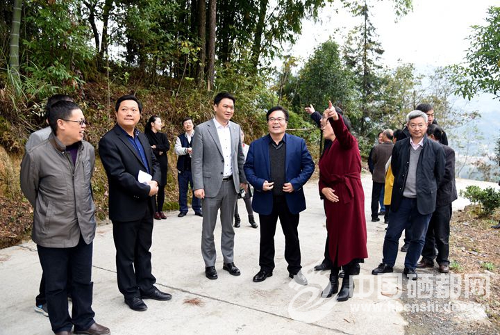 11月14日,杭州市农业局局长赵国钦率领杭州籍七家茶叶企业负责人来到