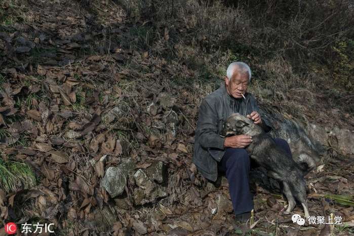 阳光下,丁丁(小黑狗)趴在老人臂弯下,陪伴着孤独的 大爷.