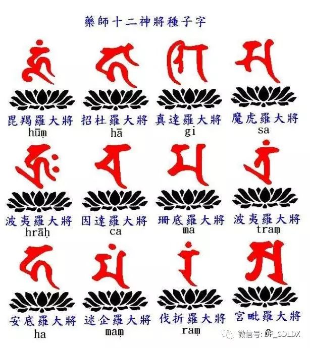 药师十二神将种子字