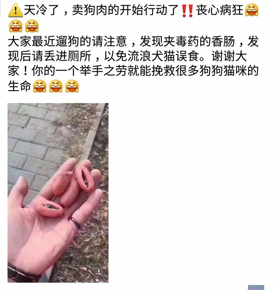 遛狗当心!最近各地又出现"毒香肠"!