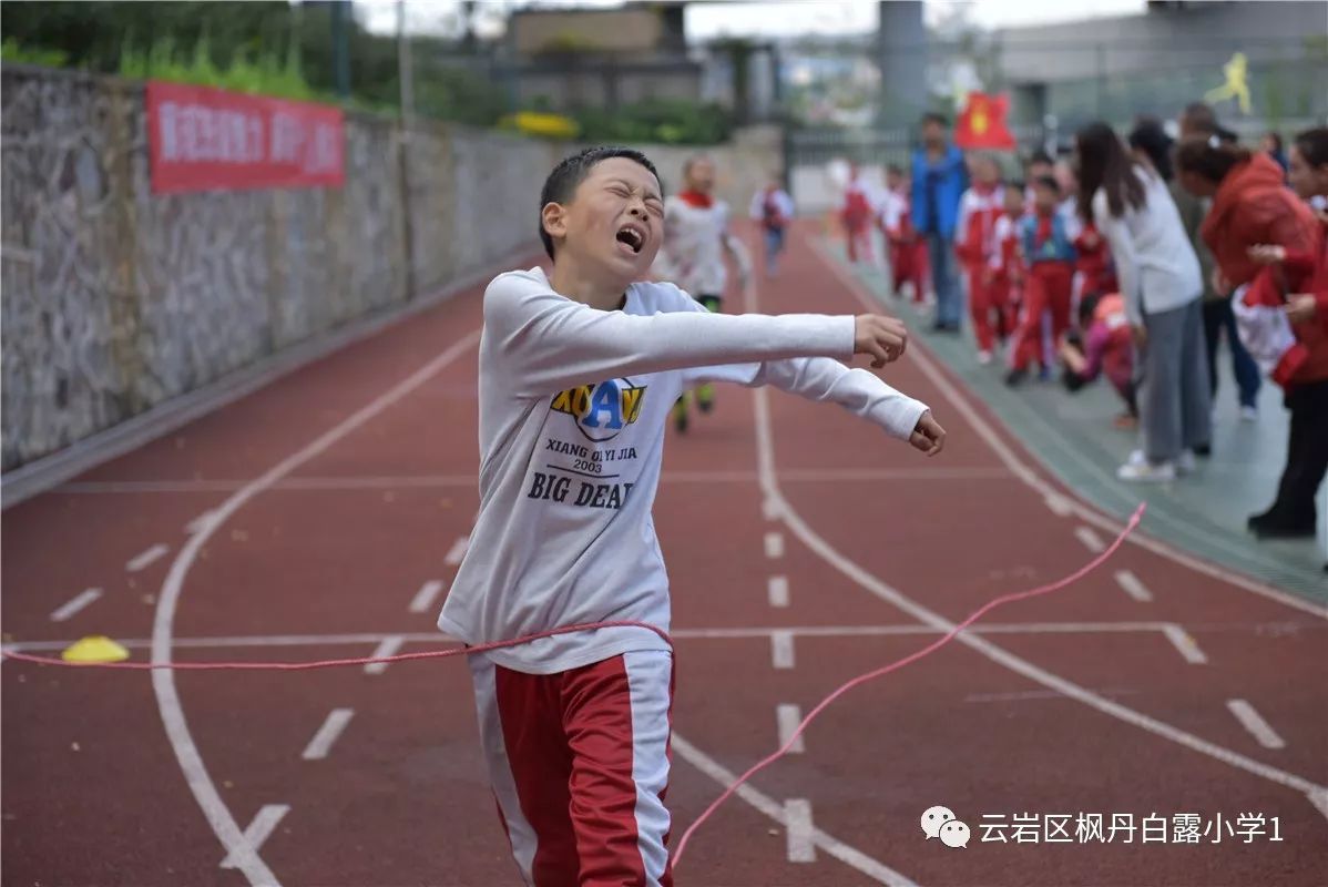 校园简讯阳光体育盛会共享精彩时光云岩区枫丹白露小学第二届秋季运动