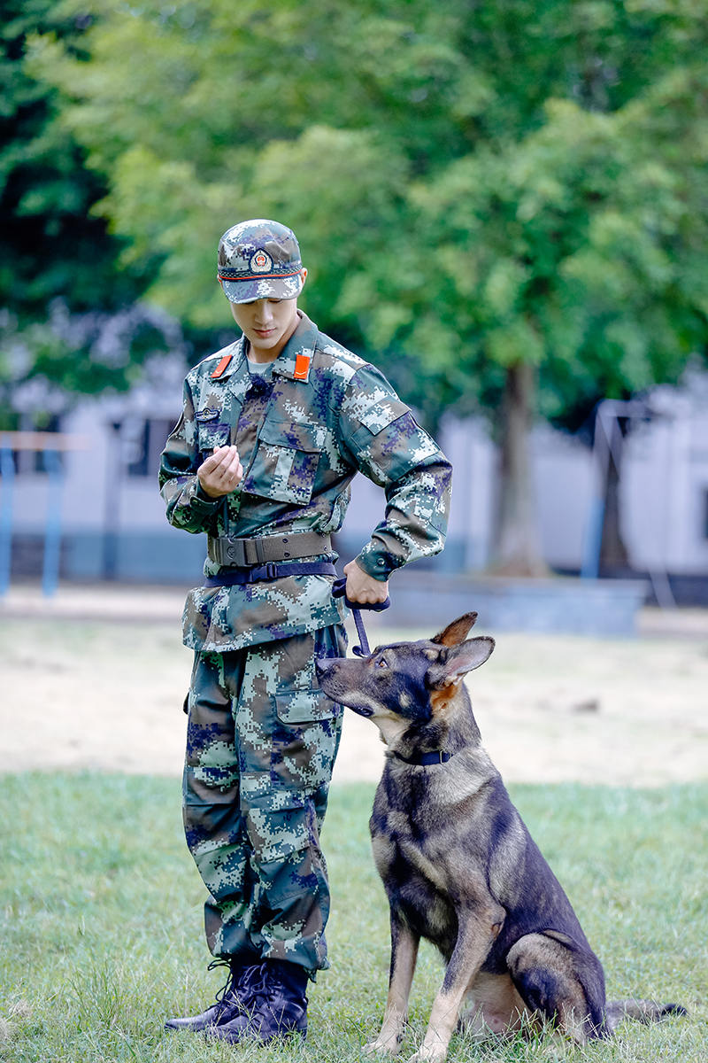 娱乐 正文  《奇兵神犬》一经播出,收视率迅速飙升至同时段综艺节目第