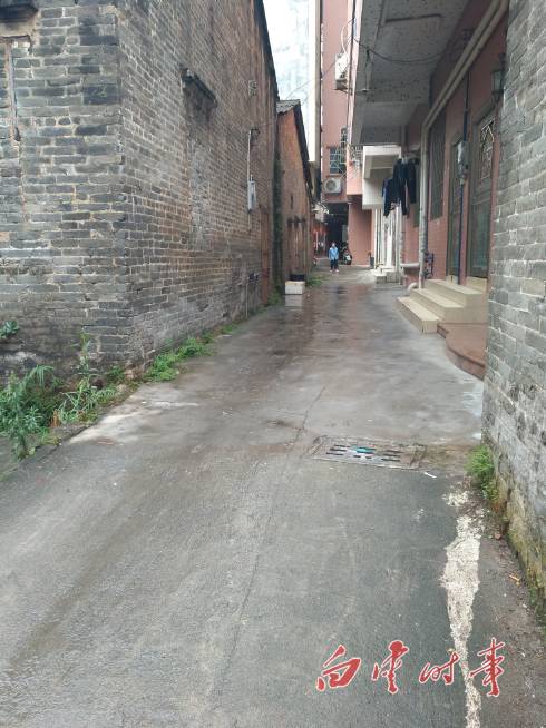 街龙湖经济联社党总支部书记周汉泉告诉记者,经过系列清理整治,该村