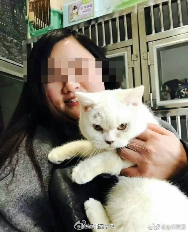 残忍!一女子在宠物店买猫"退货"遭拒 将猫剥皮杀害并丢在宠物店门口