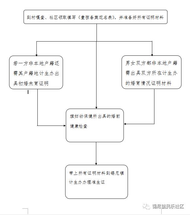 流动人口婚育证明材料(3)